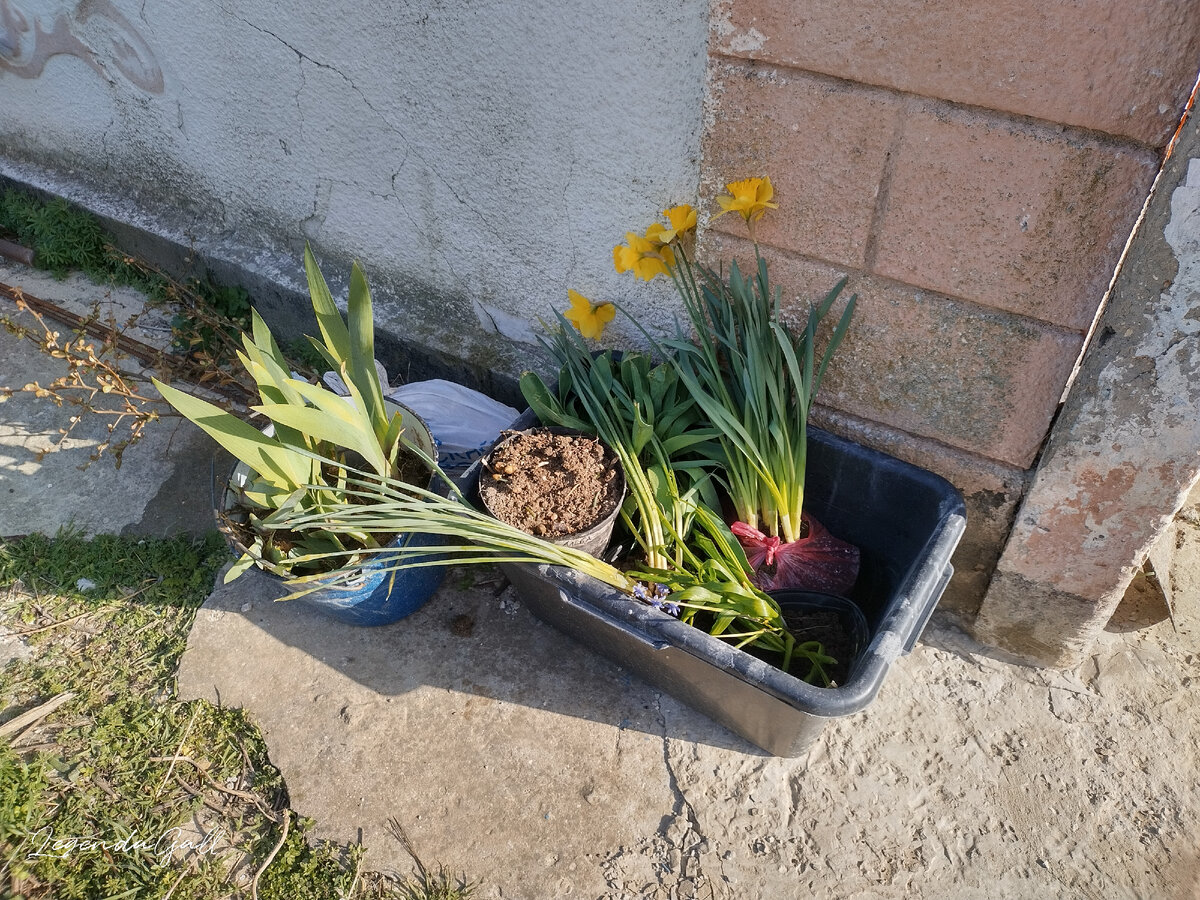 Как-то не сообразила в машине сфотографировать.