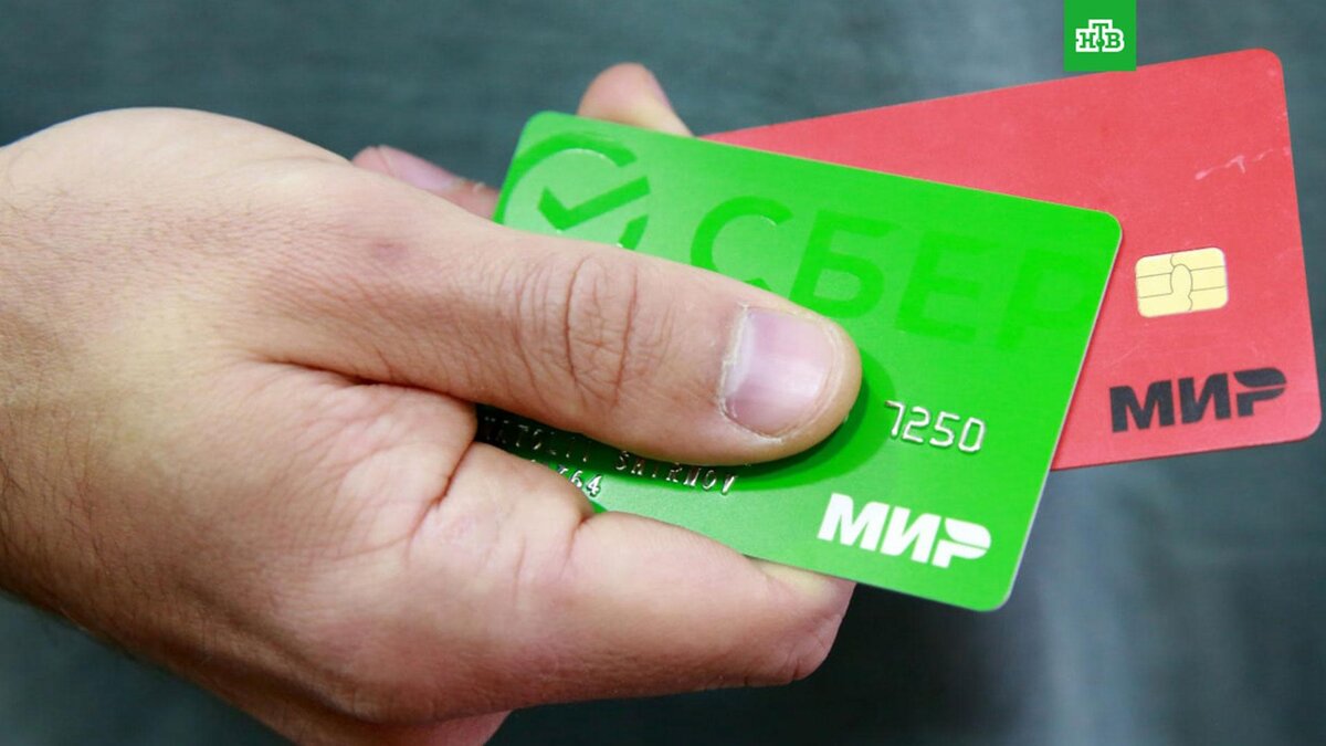    Фото: РИА Новости © 2024, Игорь Егоров