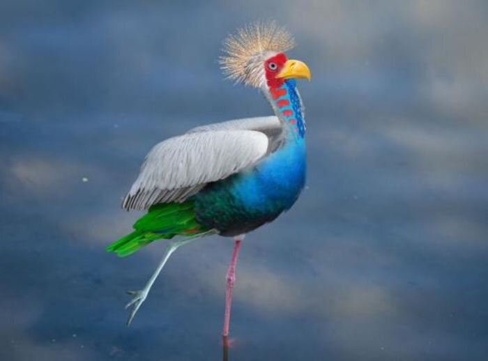 Источник фото: Ростовский зоопарк