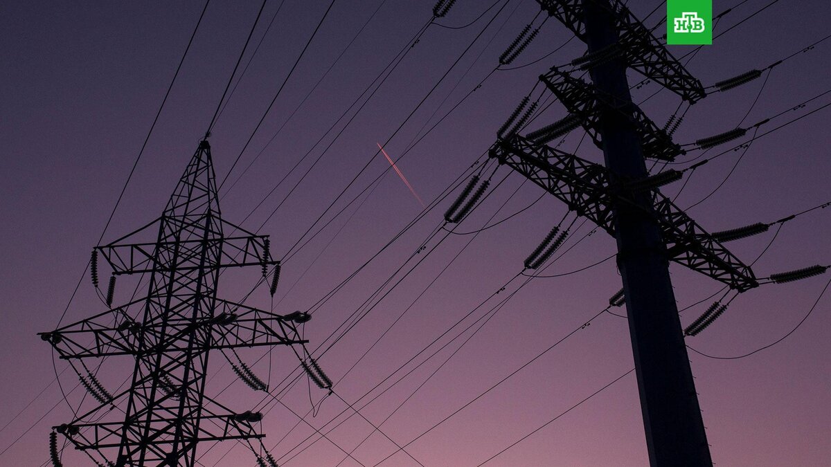    Фото: Игорь Терехов / unsplash.com