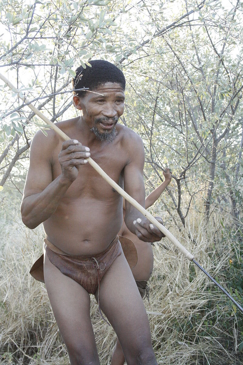 Бушмен-охотник. «Википедия»