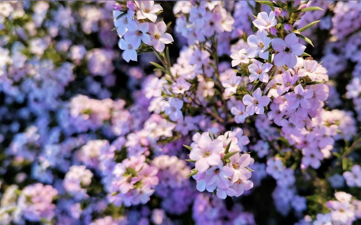 Который час? Весна 🌸🌸🌸