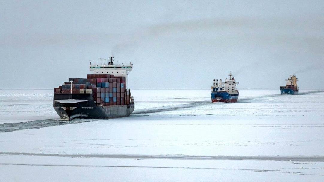 фото: spb.vedomosti.ru