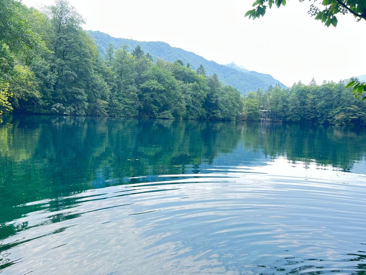 на синих озерах гордиенко