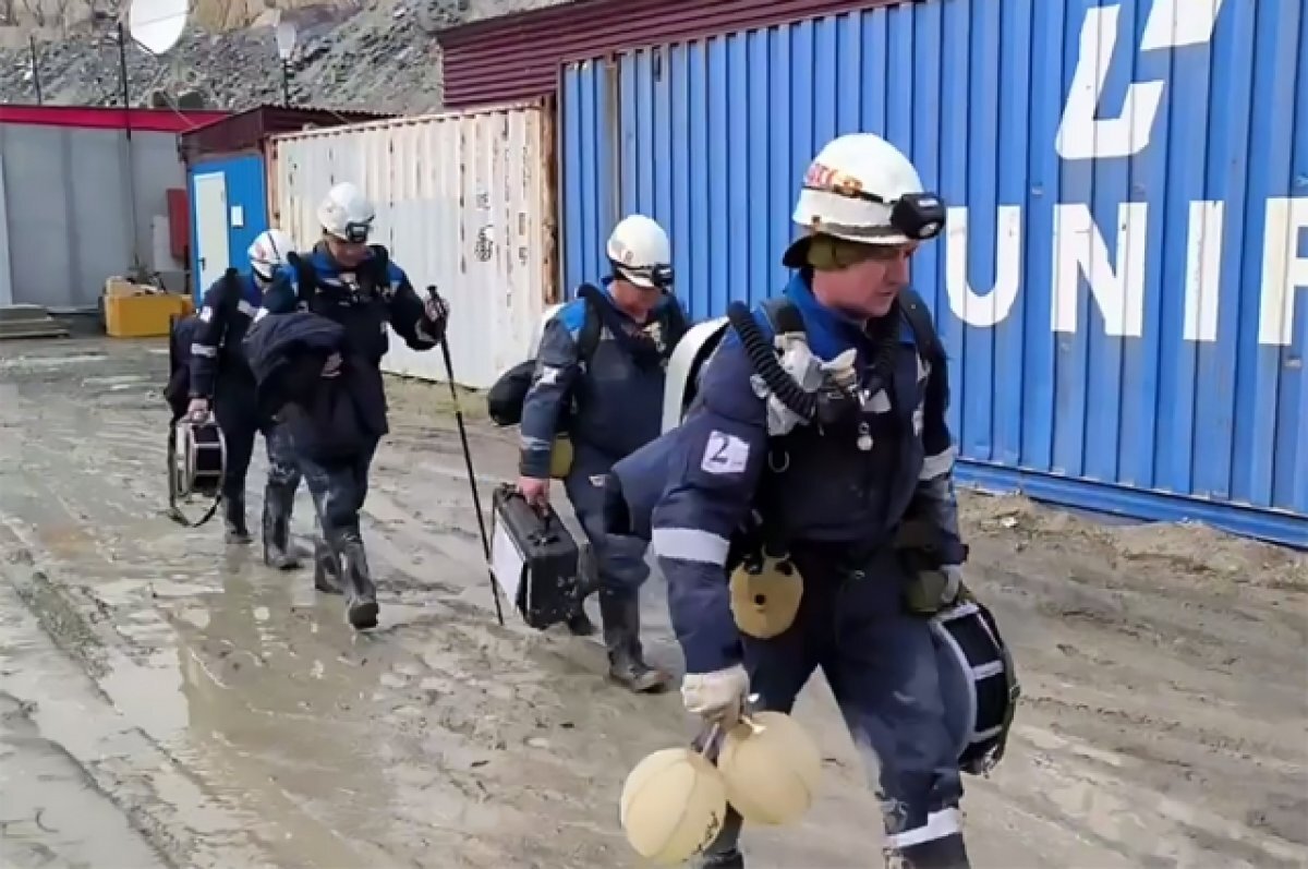    Стук прекратился.