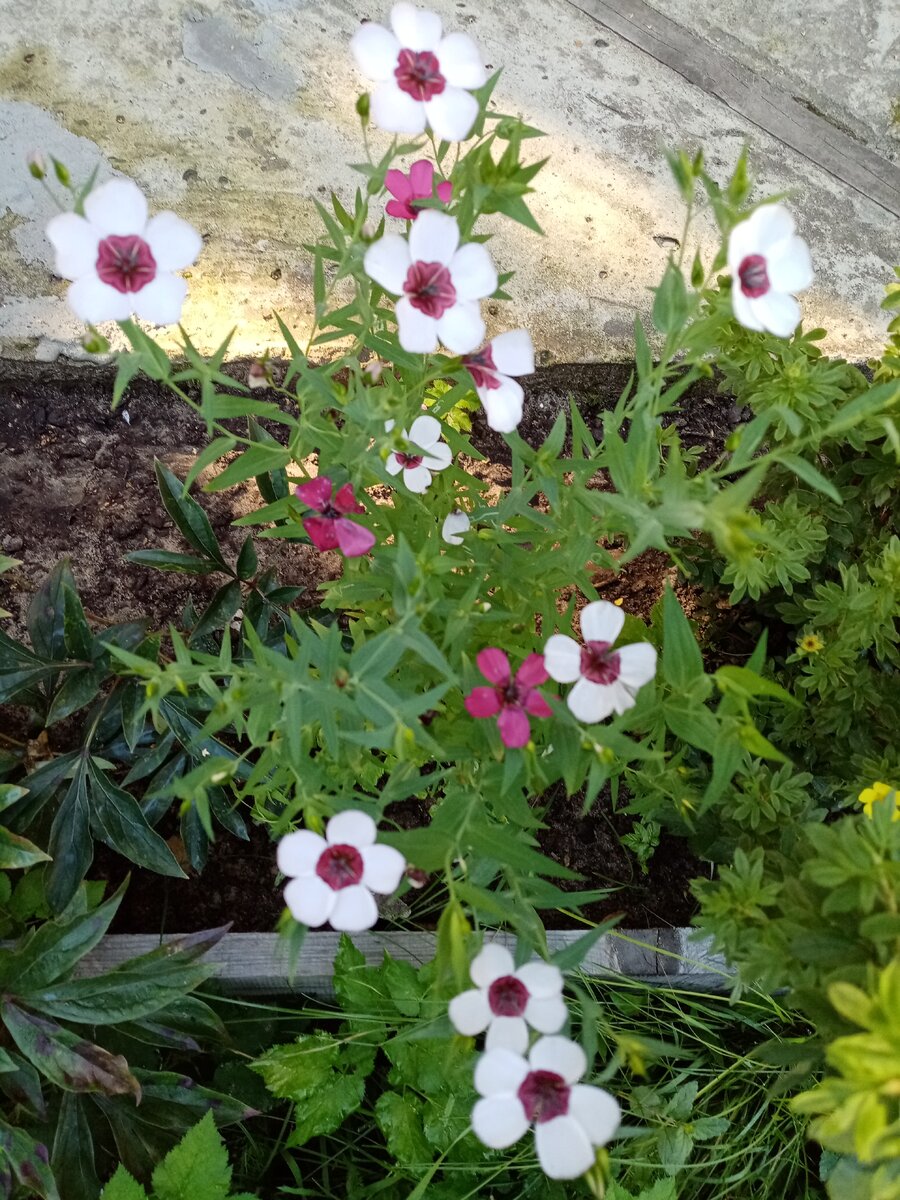 Вот такая красота.