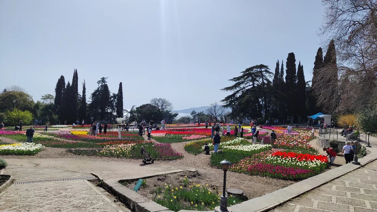 На главном экспозиционном участке представлен 151 сорт. Как тут все поместилось, удивляет. 