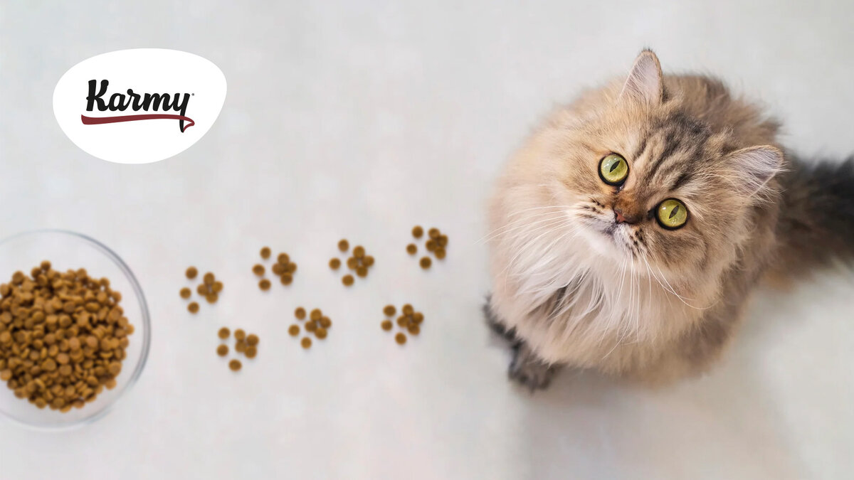 Авторское изображение с использованием картинки с фотостока Shutterstock 