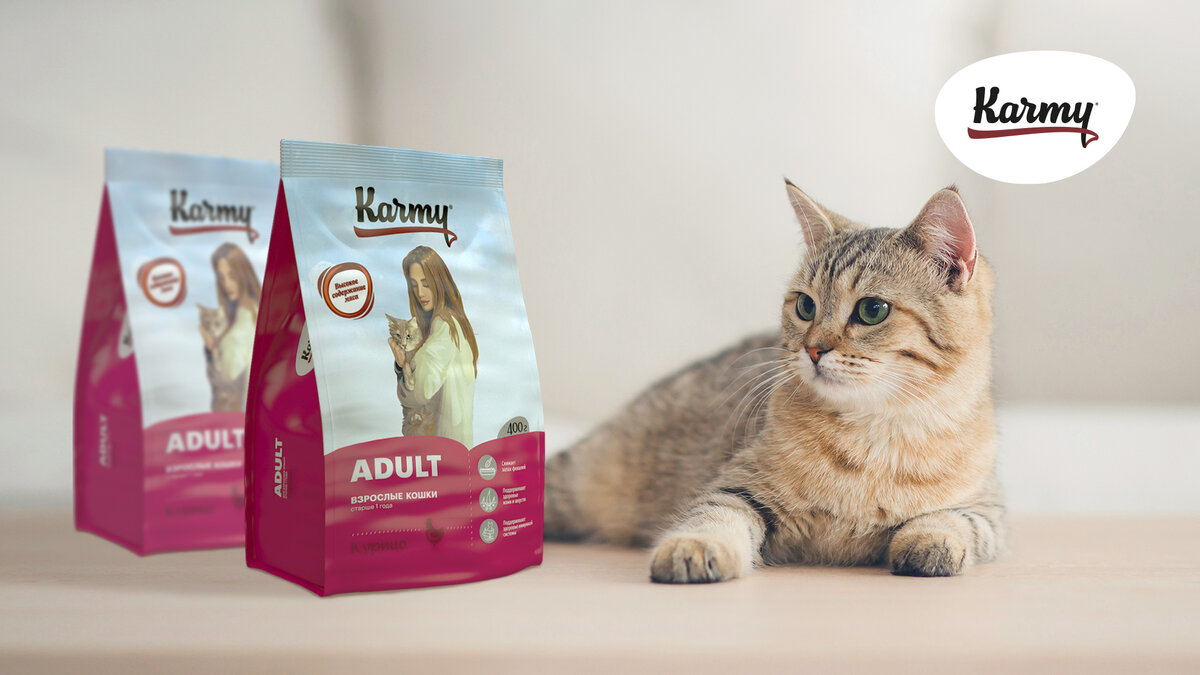 Авторское изображение с использованием картинки с фотостока Shutterstock 