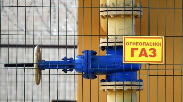    © Sputnik / Максим Богодвид