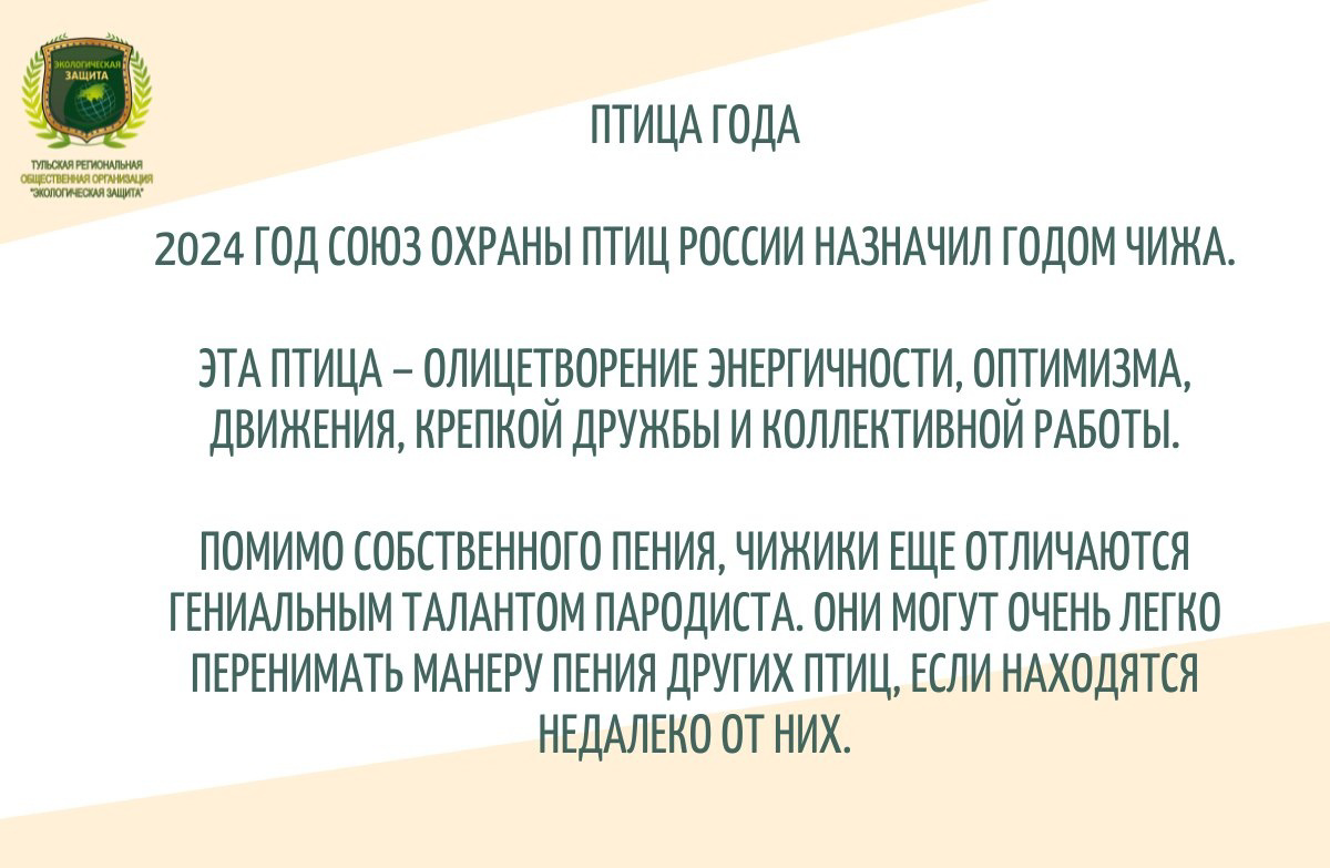 КОМУ ДЕНЬ ДУРАКА - А НАМ ДЕНЬ ПТИЦ🕊️ | ТРОО 