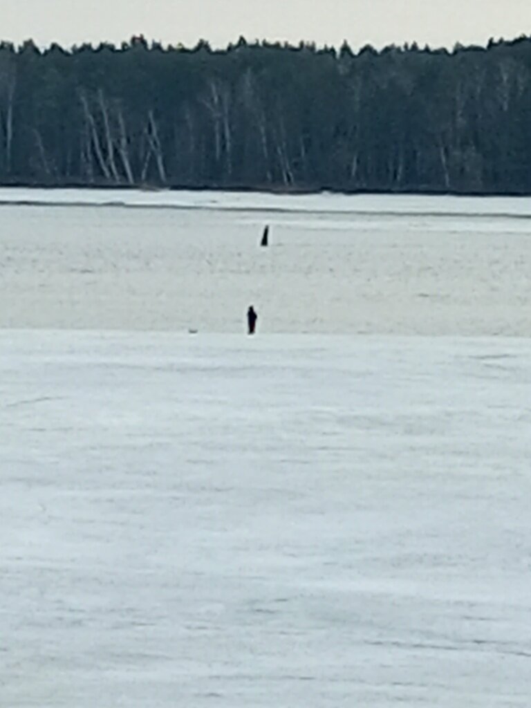 Дома затоплены. В Тверскую область пришло «Высокое половодье»