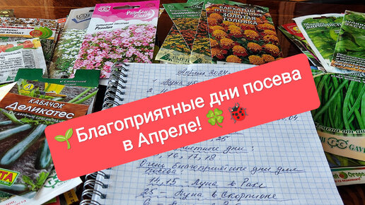 🍀🐞Благоприятные дни☀ Апреля для 🌱Посева разных культур! Посевы в апреле!