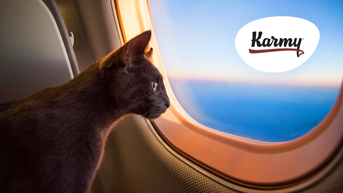 Авторское изображение с использованием картинки с сайта hdpic.club