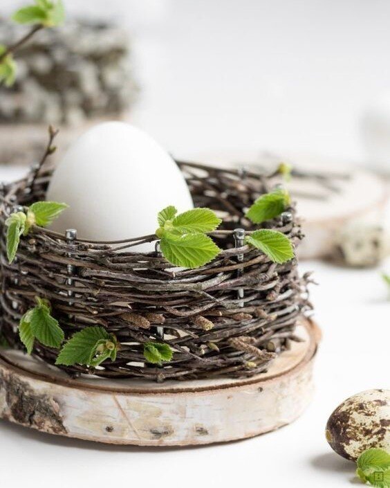 Фото из открытых источников интернета. 