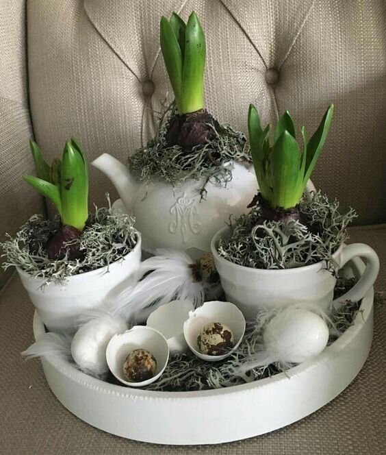 Фото из открытых источников интернета.