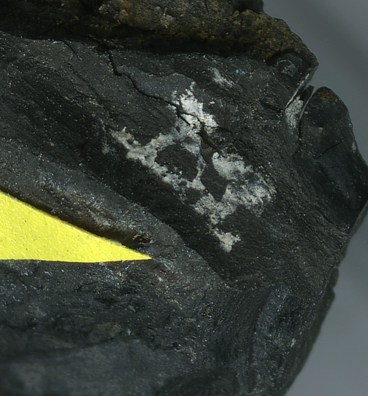 Корочка урамфита на угле. Фото: П. Карташов