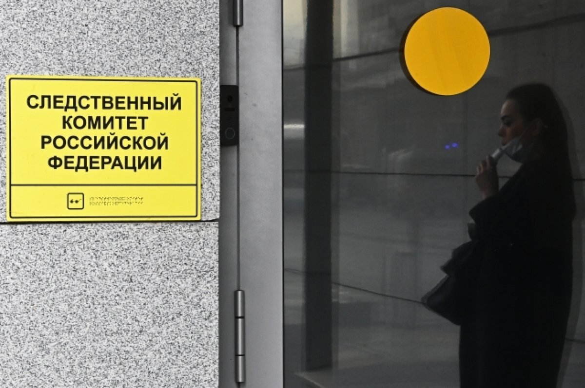    СК начал проверку после обращения депутатов о терроризме против РФ