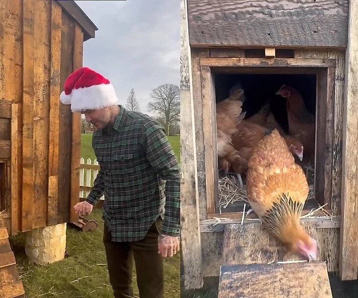-2