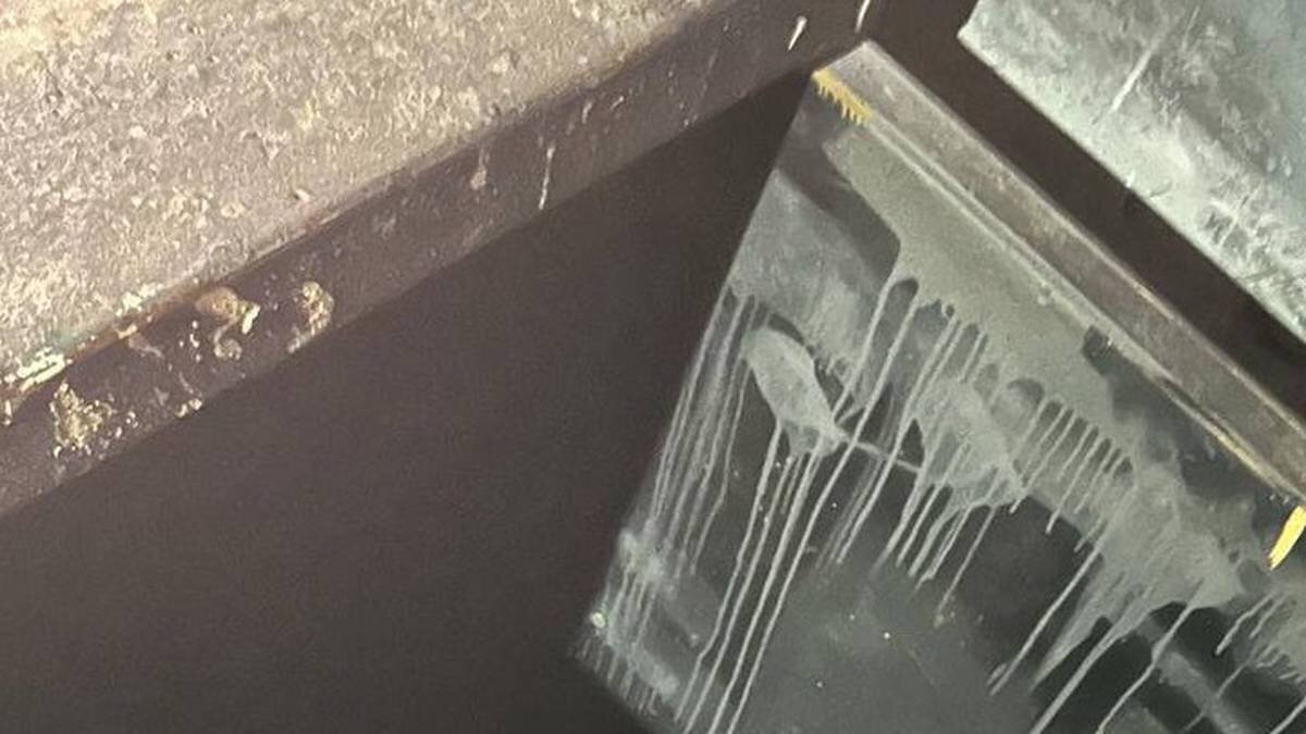    Фото: Пресс-служба прокуратуры Москвы