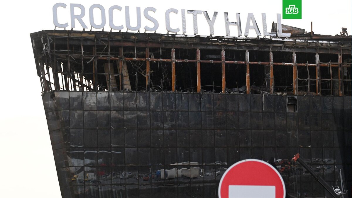    Фото: РИА Новости © 2024, Кирилл Каллиников