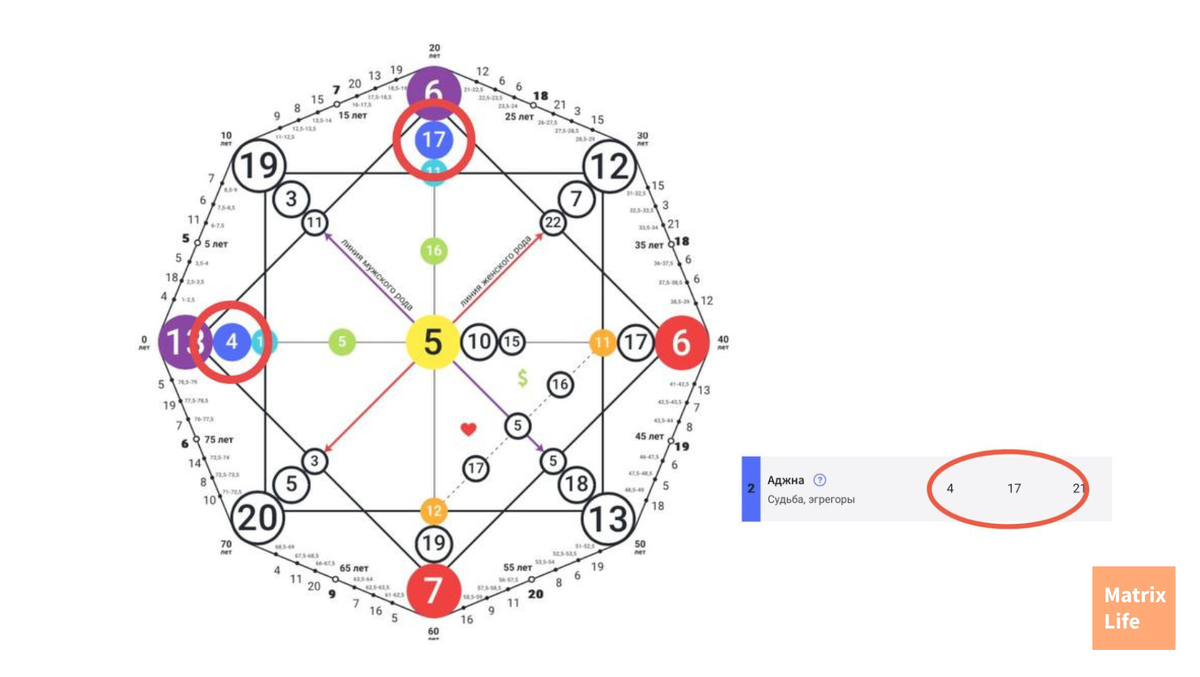 Предпринимательские способности по дате рождения - как узнать есть ли они у  вас? Ответ ищем в Матрице Души | Матрица Судьбы | Обучение | Калькулятор |  Matrix Life | Дзен