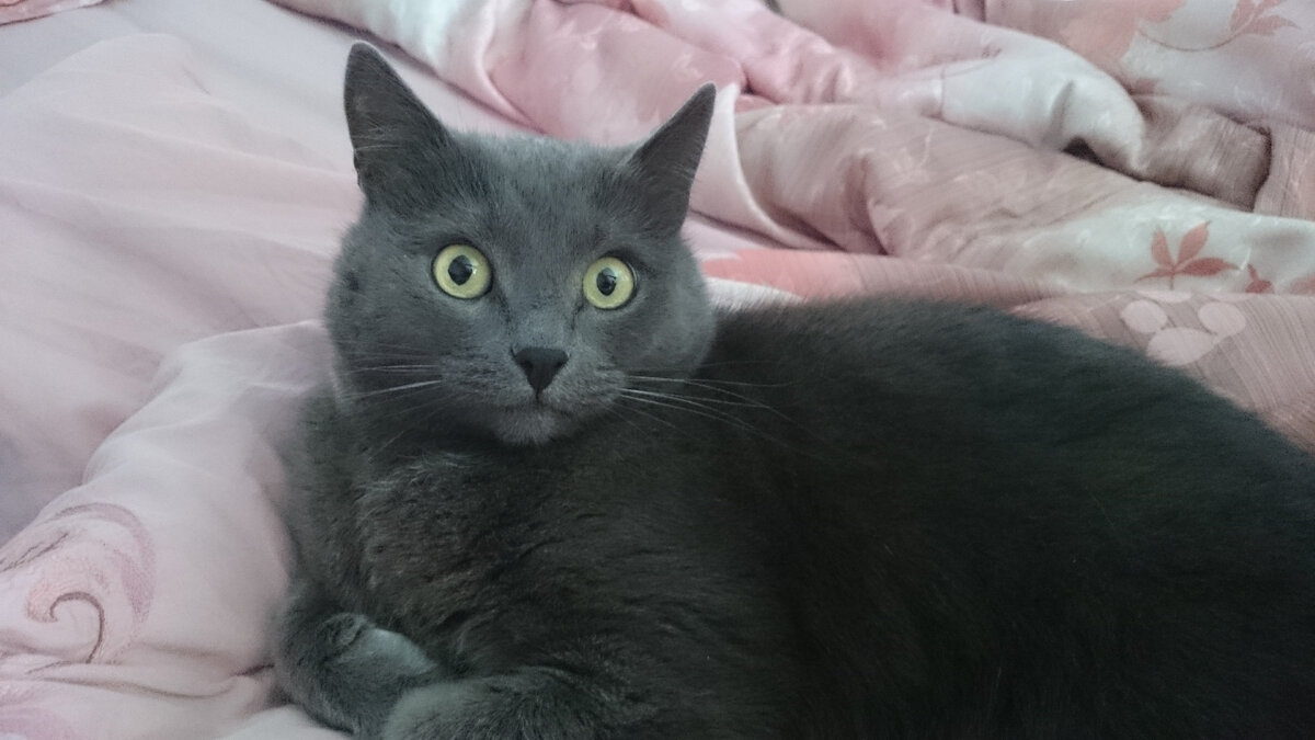 умеющий искренне удивляться