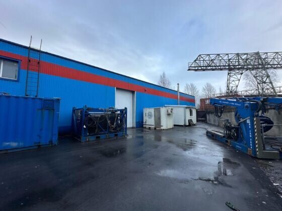 Листайте вправо, чтобы увидеть больше изображений