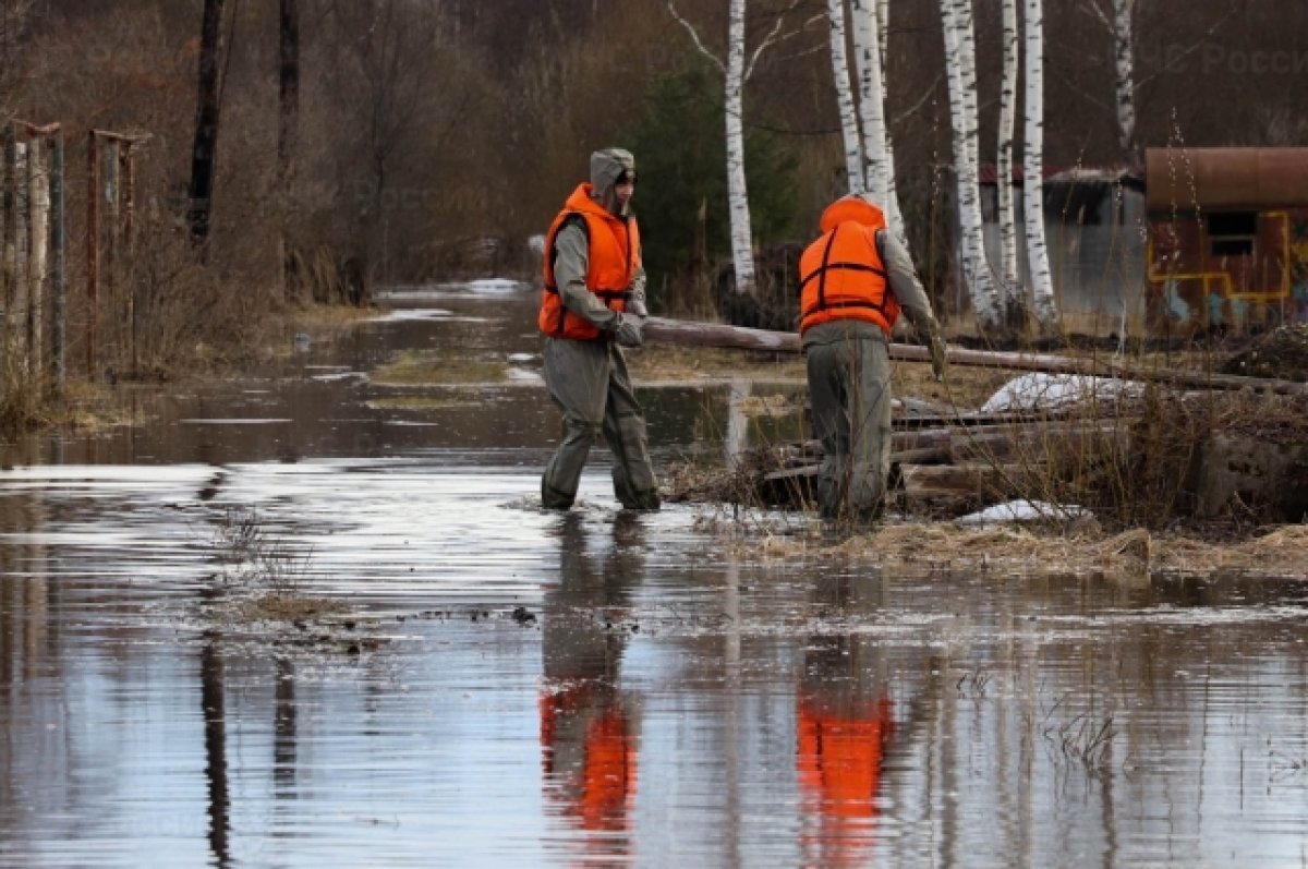    В Тверской области подтопило приусадебные участки в трёх округах