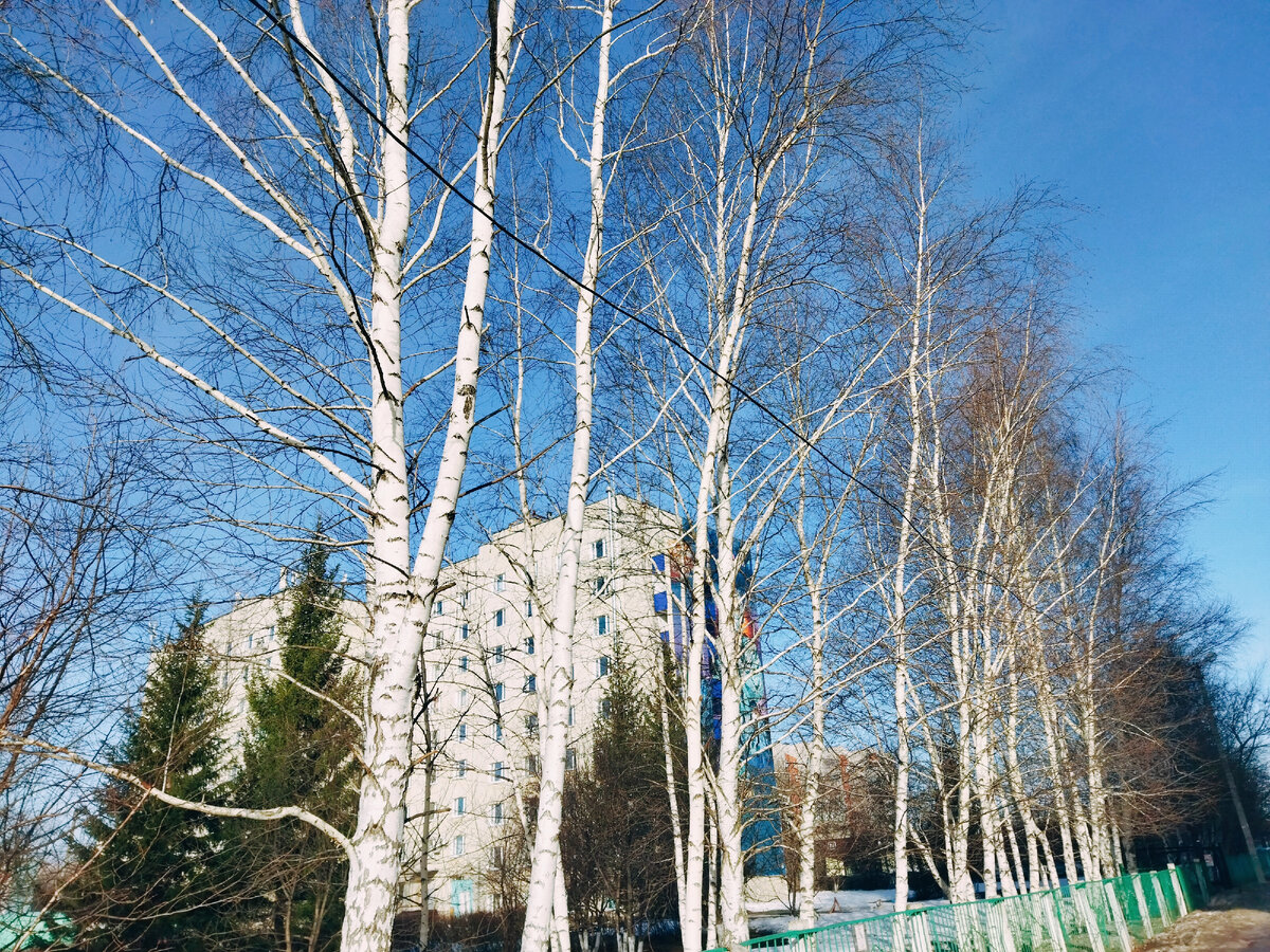 Фото из личного архива автора