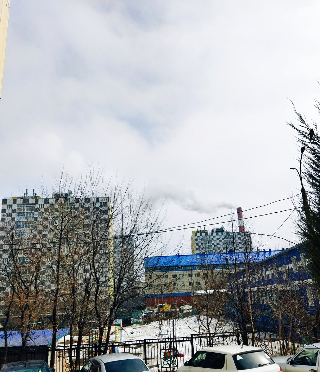 Фото автора