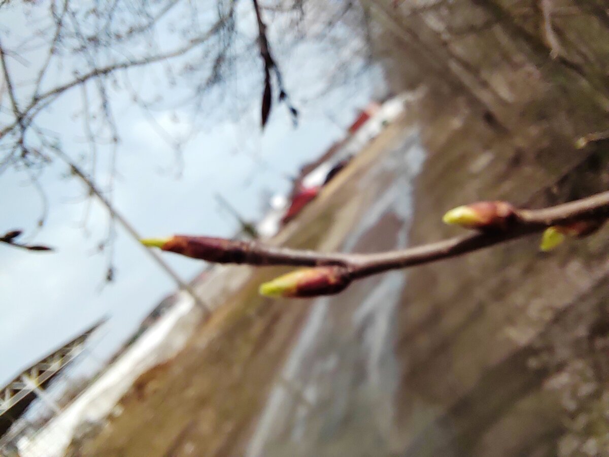 Фото автора канала