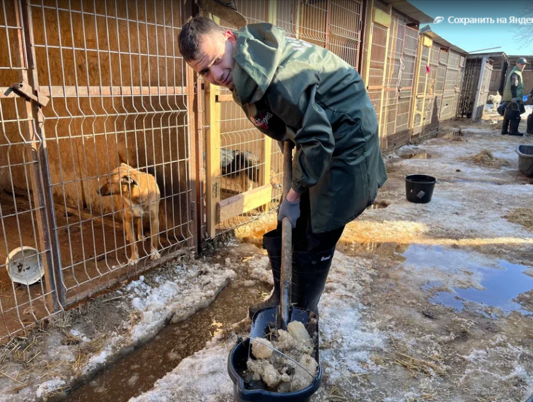    Оренбургская молодежь спасла приют для животных от затопления Марина Шарт