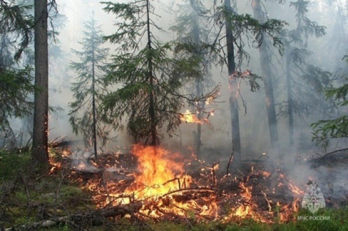    На всякий пожарный.