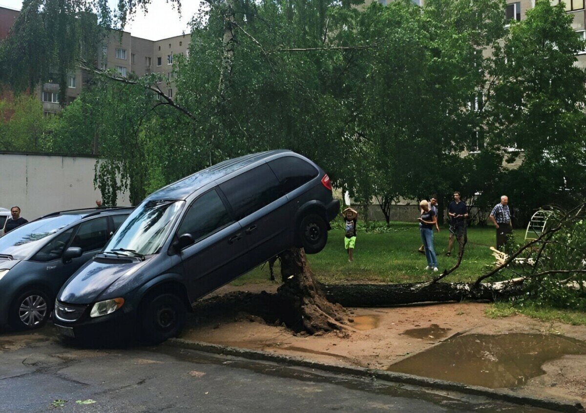 Ураган в беларуси. Буря в минске. Ураган в минске вчера. Ураган в белоруссии сегодня новости последнего часа. Минск последствия непогоды 11.