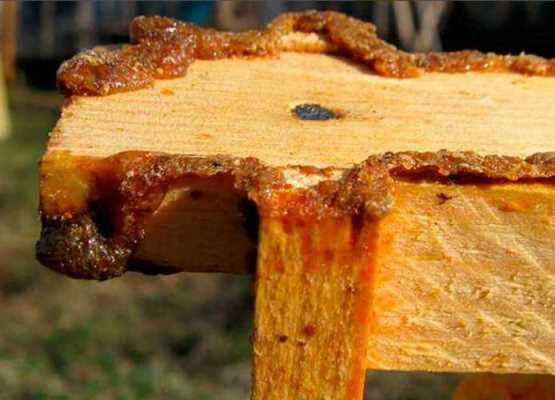 Прополис на верхнем бруске рамки
