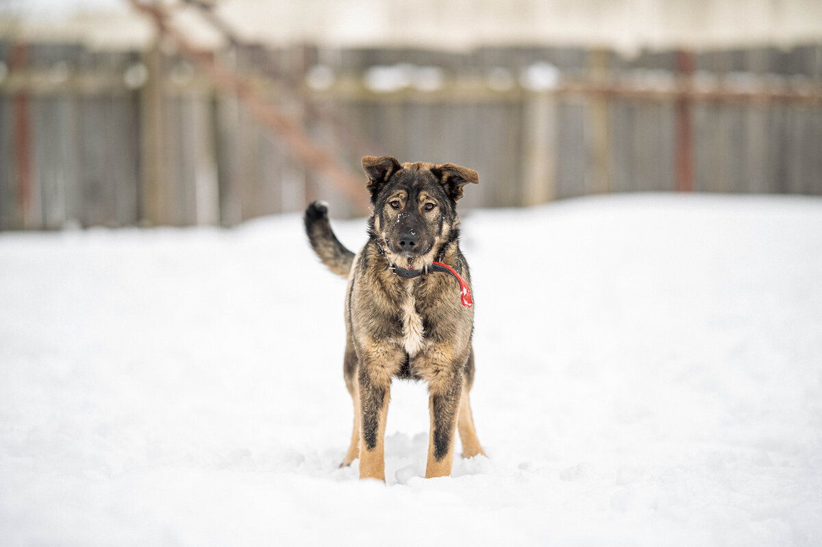 Маша не знала, что у неё неброский окрас и из-за этого на неё не обращают внимания