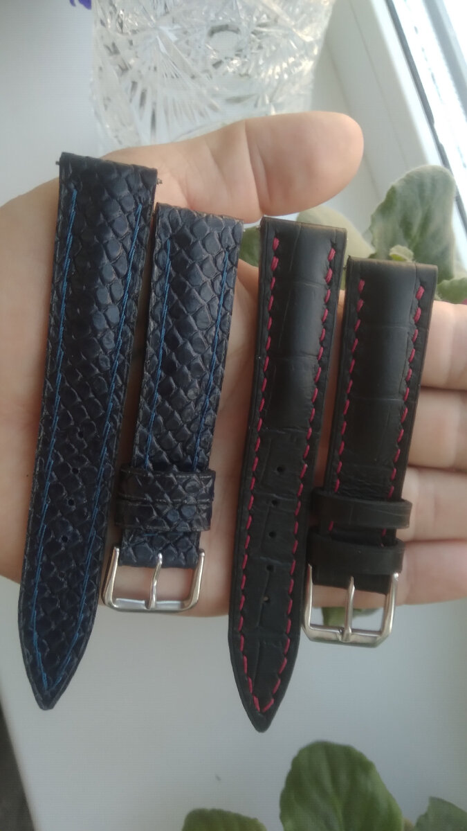 Фотографии автора 