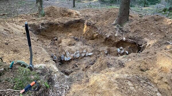    © Photo : Telegram / Генеральная прокуратура Беларуси