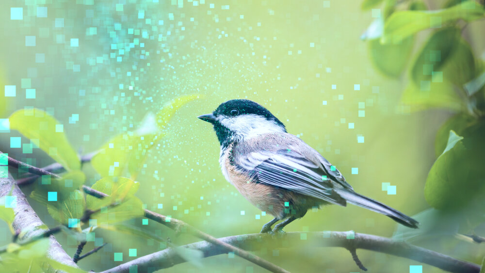    Фото: Shutterstock.com