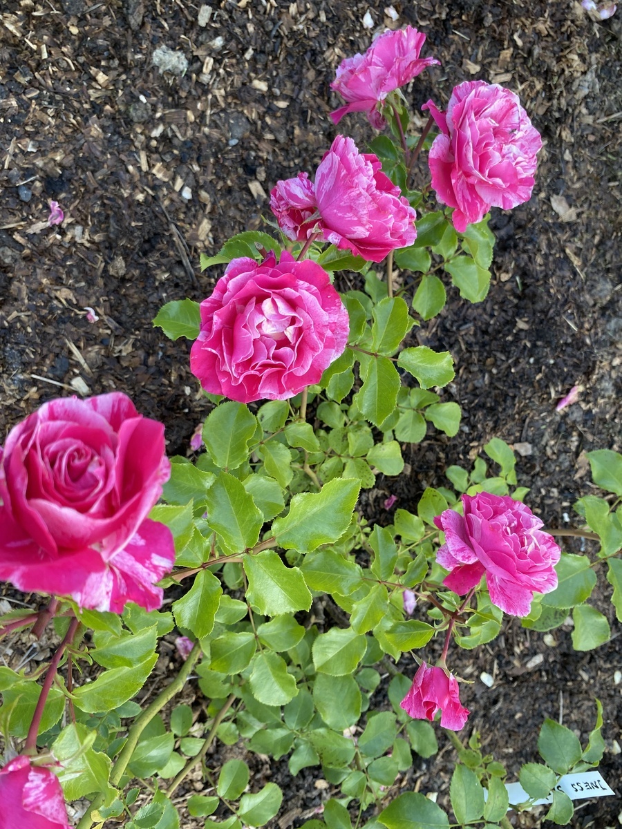 фото Марина