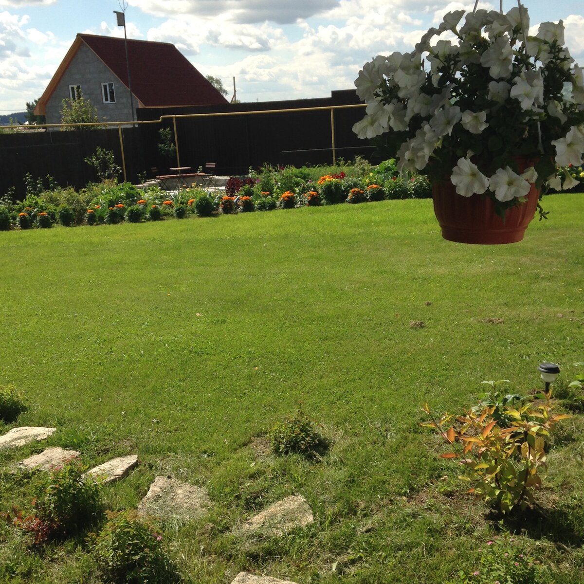 Удивительно, как изменился наш участок за восемь лет. Нашла старые ...