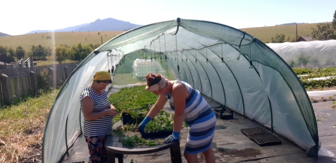 Книга о жизни на Алтае, она у меня родится, я верю!