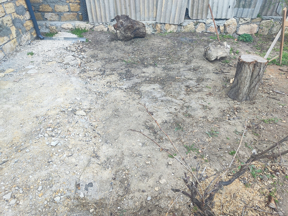 На этом закончила в прошлый раз. В нижнем углу виноград 