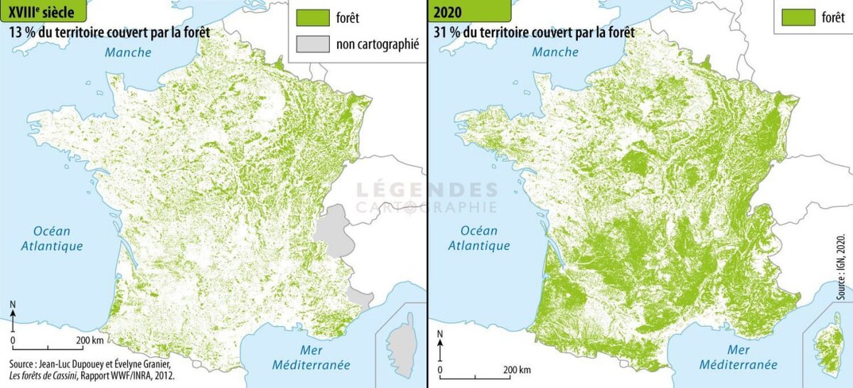    ◾ Увидел карту озеленения Франции и восстановления лесов за последние полстолетия.
