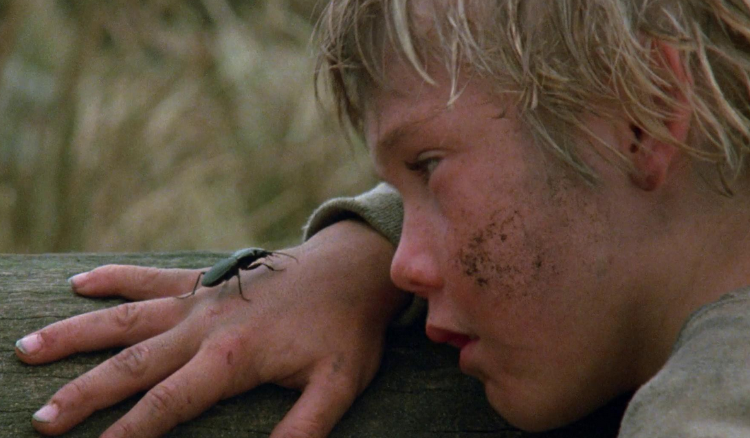 Листайте кадры.