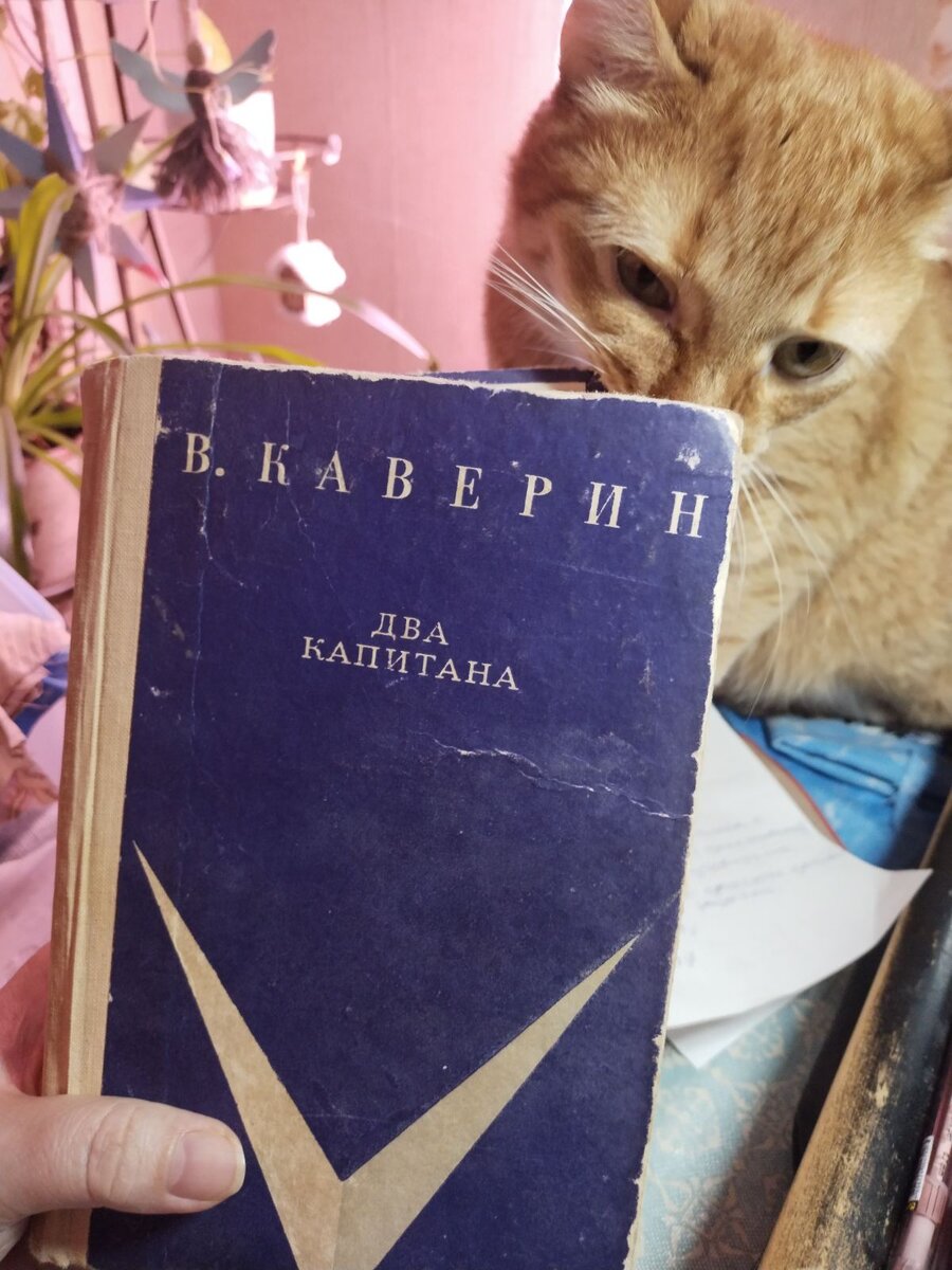 Фынчик разделяет моё стремление. :)