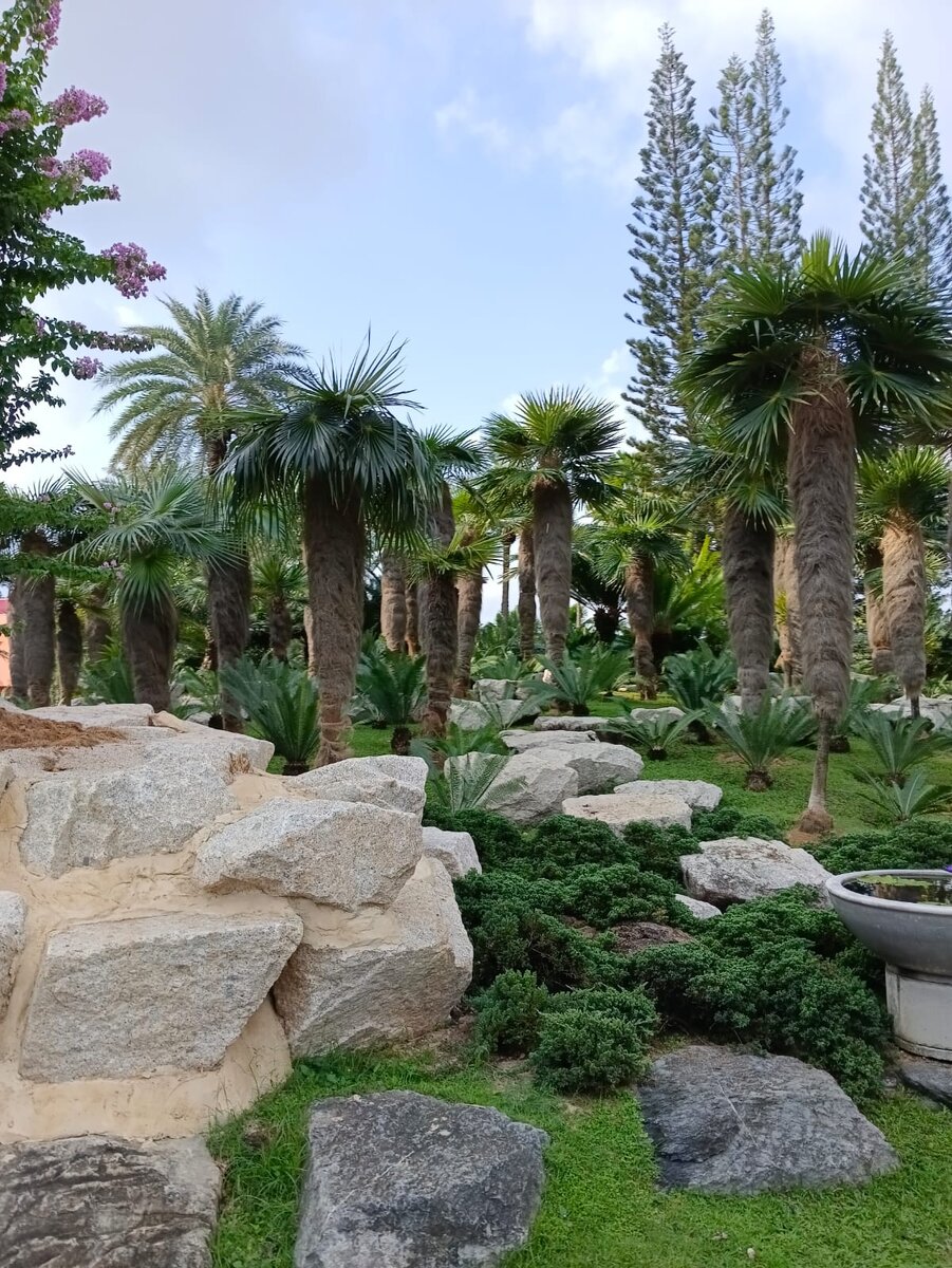 Ботанический сад фото моё