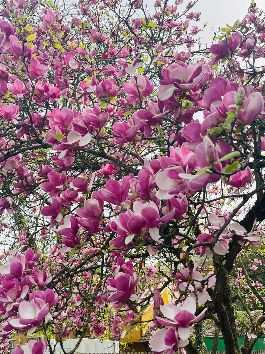 Фото родственников март 24