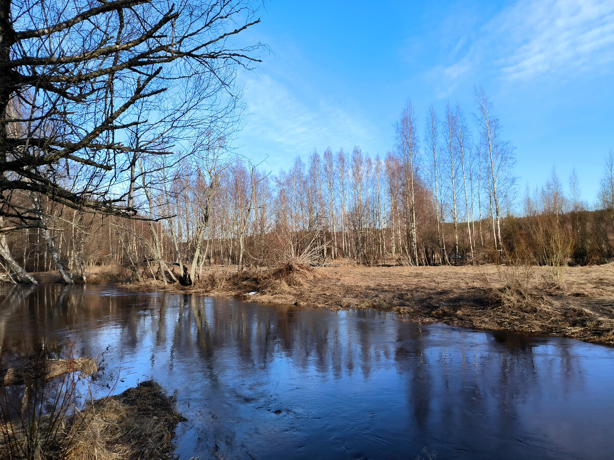 Фото: Maksim Konstantinov/Global Look Press